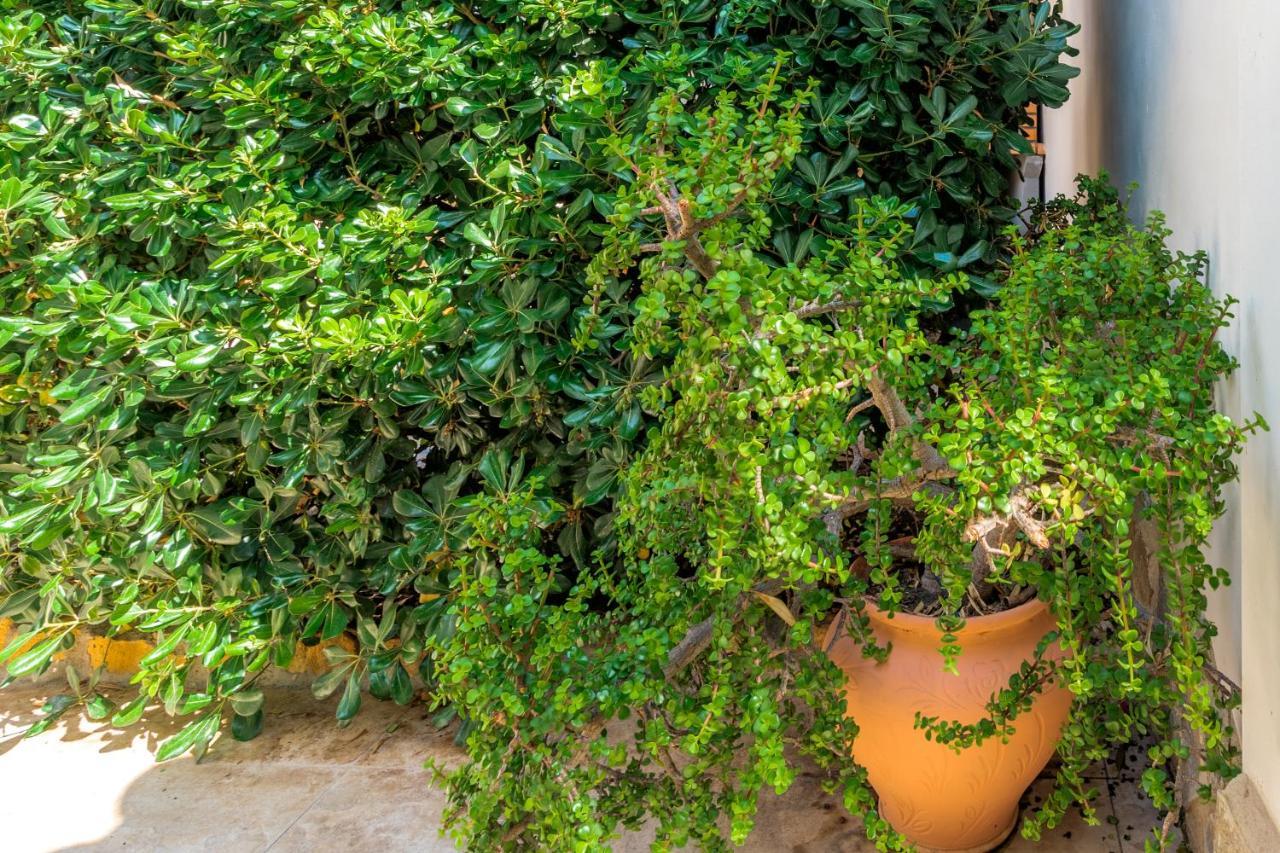 Maryvilla Inspiracion Y Vacaciones - Villa Mascarat カルプ エクステリア 写真